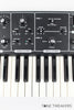 Moog Rogue w Original Box