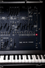 Korg ARP 2600 FS (New)