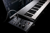 Korg ARP 2600 FS (New)