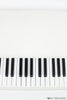 Fairlight Series III