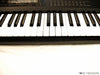 Korg T3