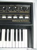 Moog Multimoog