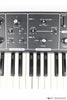 Moog Rogue