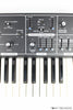 Moog Rogue