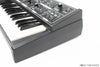Moog Rogue