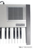 Roland HS-60 Synth Plus 60