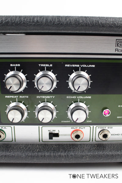 Roland RE-201 Space Echo For Sale Meticulously Refurbished Excellent