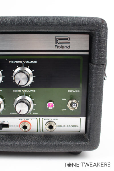 Roland RE-201 Space Echo For Sale Meticulously Refurbished Excellent