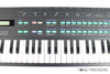 Yamaha DX100