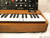 Moog Minimoog Model D Late SN