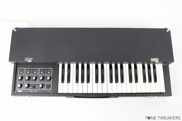 Paia Stringz N Thingz